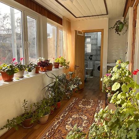Gulnara Guest House Balykchy Kültér fotó