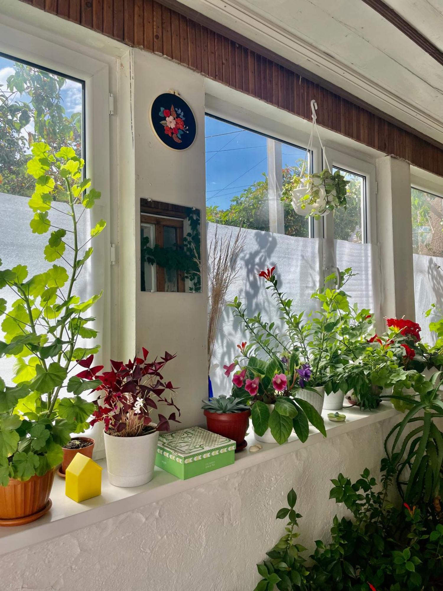 Gulnara Guest House Balykchy Kültér fotó